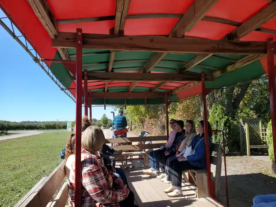 A group of people sit on benches inside a red and green open-sided trolley or wagon, looking forward as it moves along a…