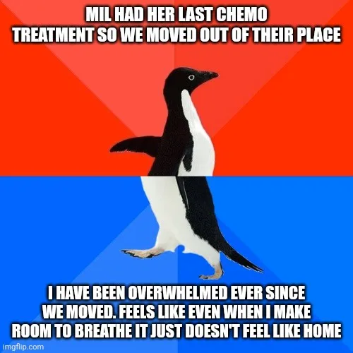 Returning to Imgur After Two Long Years