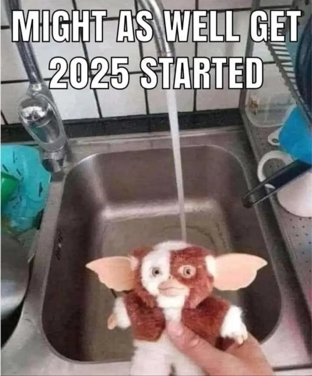 A plush toy of the character Gizmo from 'Gremlins' is being held under a running faucet in a stainless steel kitchen sink…