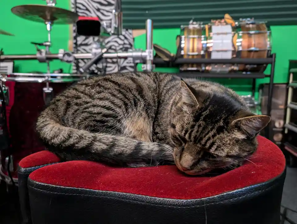 A tabby cat is curled up and sleeping soundly on a red-cushioned black stool. In the background, a drum set and other…