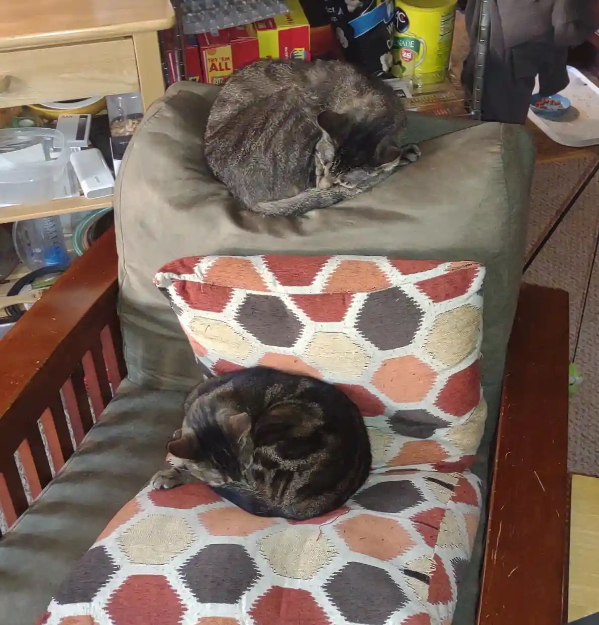 two tabby cats are curled up and sleeping on a green upholstered chair; one rests on the backrest while the other sleeps on…