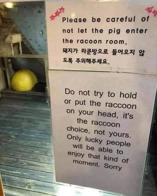 A sign in a room with wooden floors and a yellow ball in the background displays humorous warnings in English and Korean…