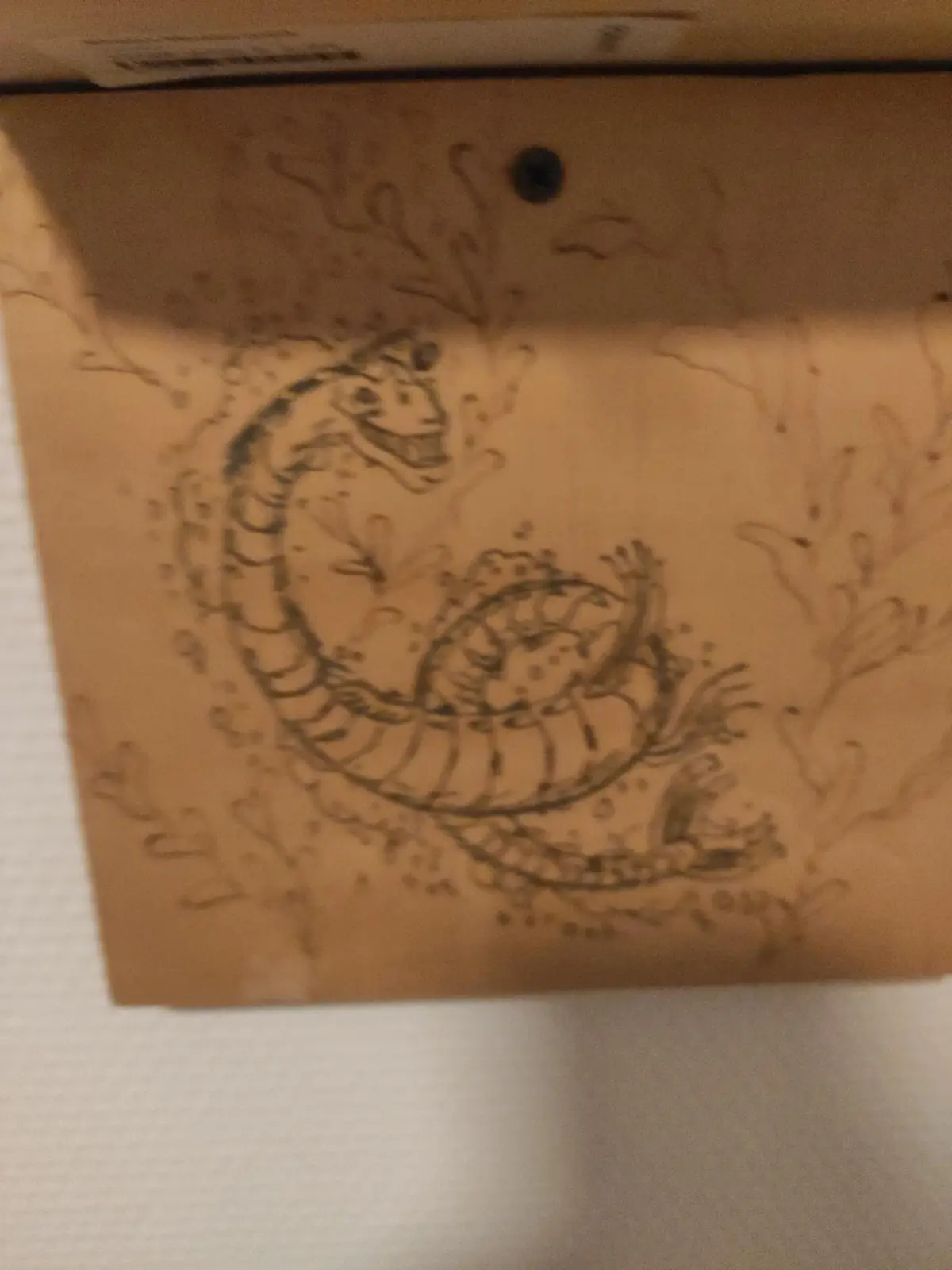 A hand-drawn sketch on the inside of a cardboard shoebox lid shows a cartoonish, smiling snake coiled around a smaller…