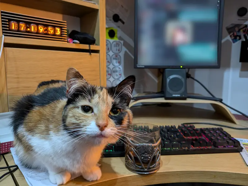 My Work Buddy for the Day: A Helpful Helper