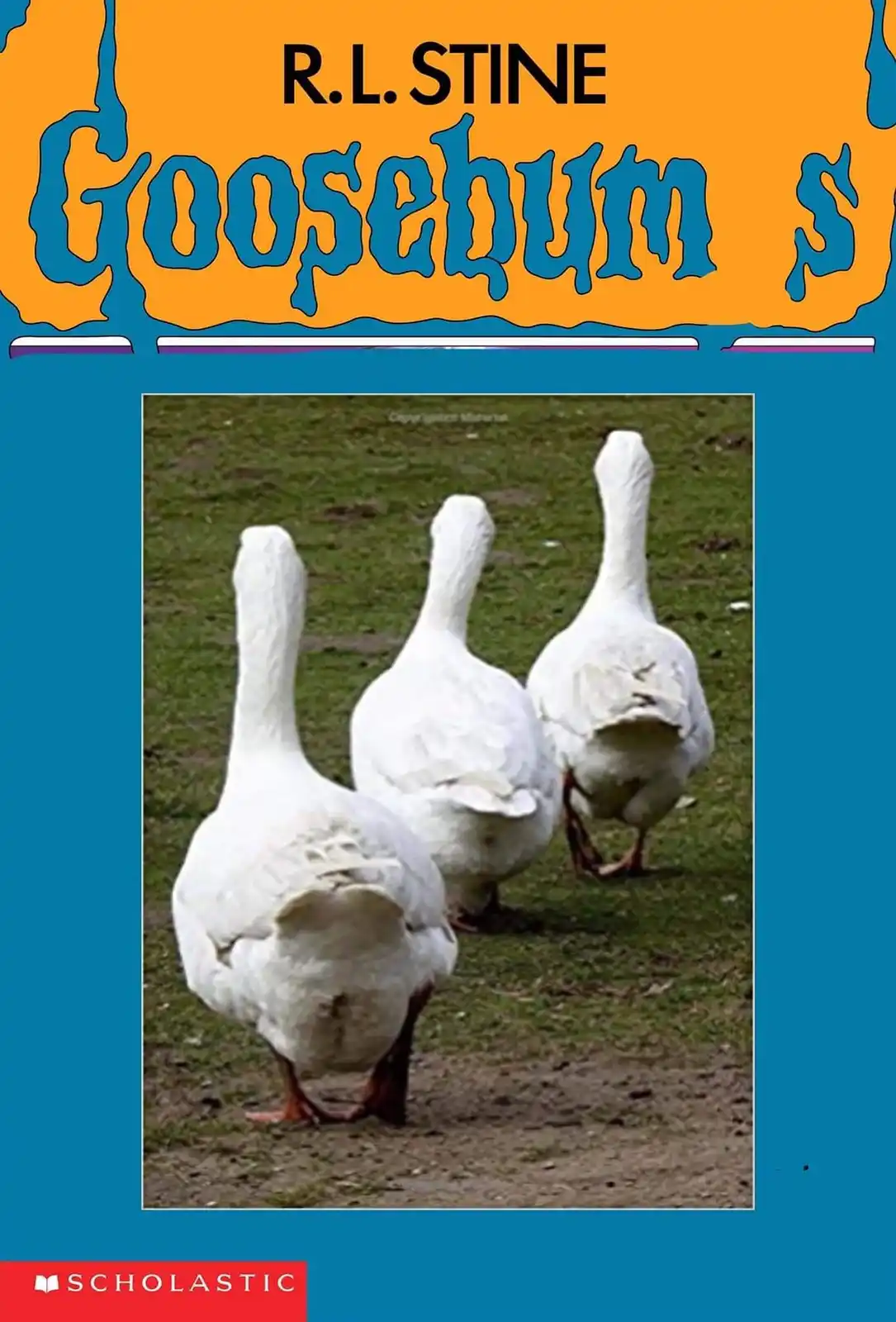 The image displays a book cover parody, featuring the title 'Goosebumps' by R.L. Stine in a spooky font, with the Scholastic…