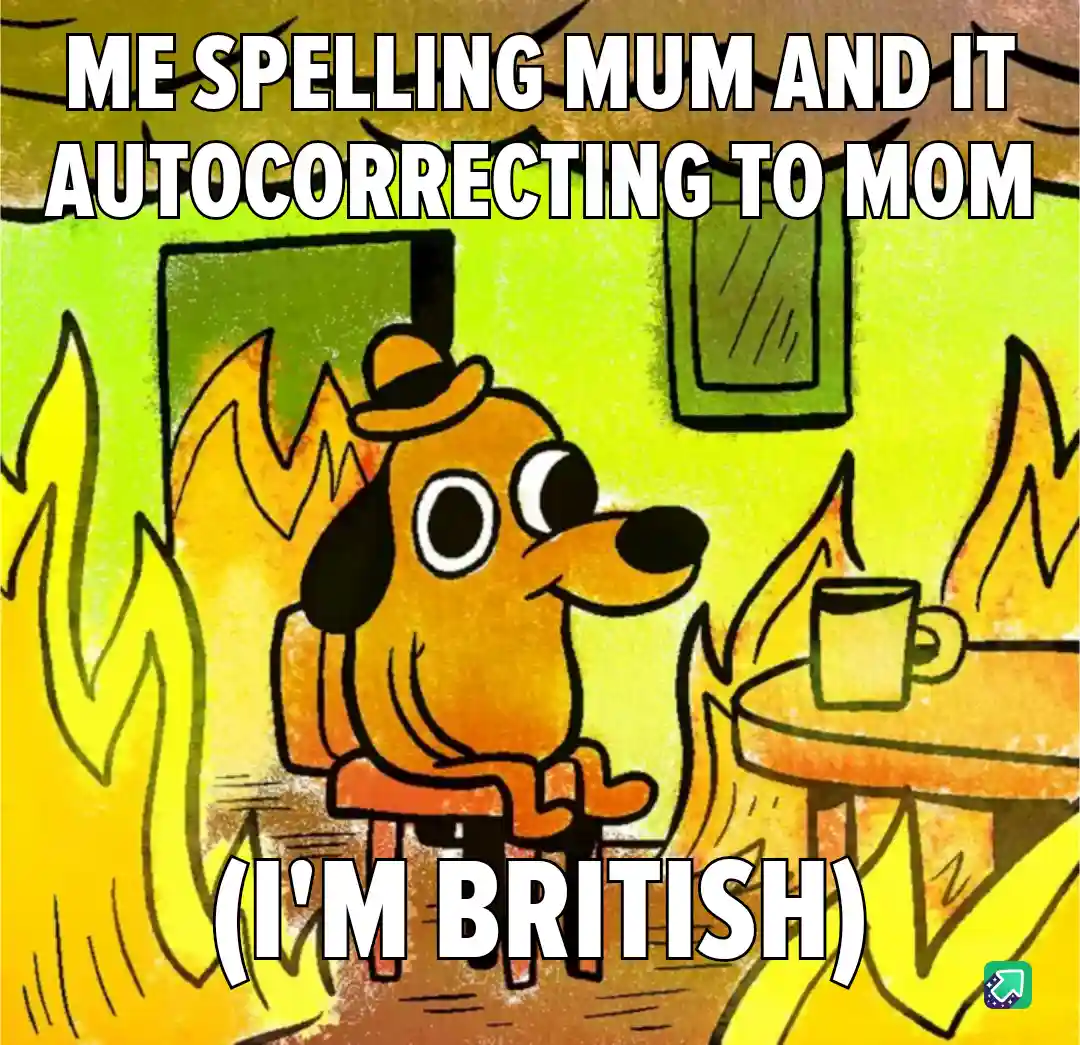 A cartoon dog wearing a hat sits calmly in a room with flames on either side, looking slightly annoyed. The text reads 'ME…