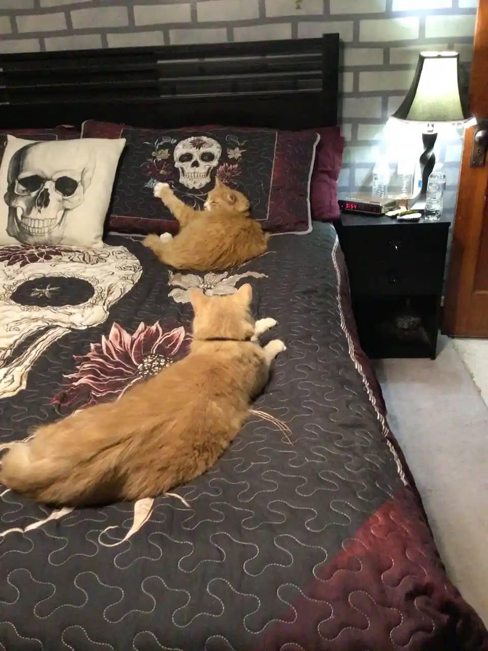 Two orange cats are lounging on a bed with skull-themed pillows and bedding. One cat lies on its back with paws up, the…