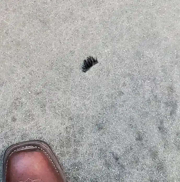 A close-up photo shows a single black eyelash lying on a gray concrete sidewalk, with the toe of a brown leather shoe…