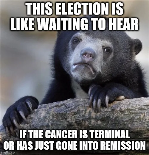 A black bear with a bored, unimpressed expression rests its paws on a log. The overlaid text reads: 'THIS ELECTION IS LIKE…