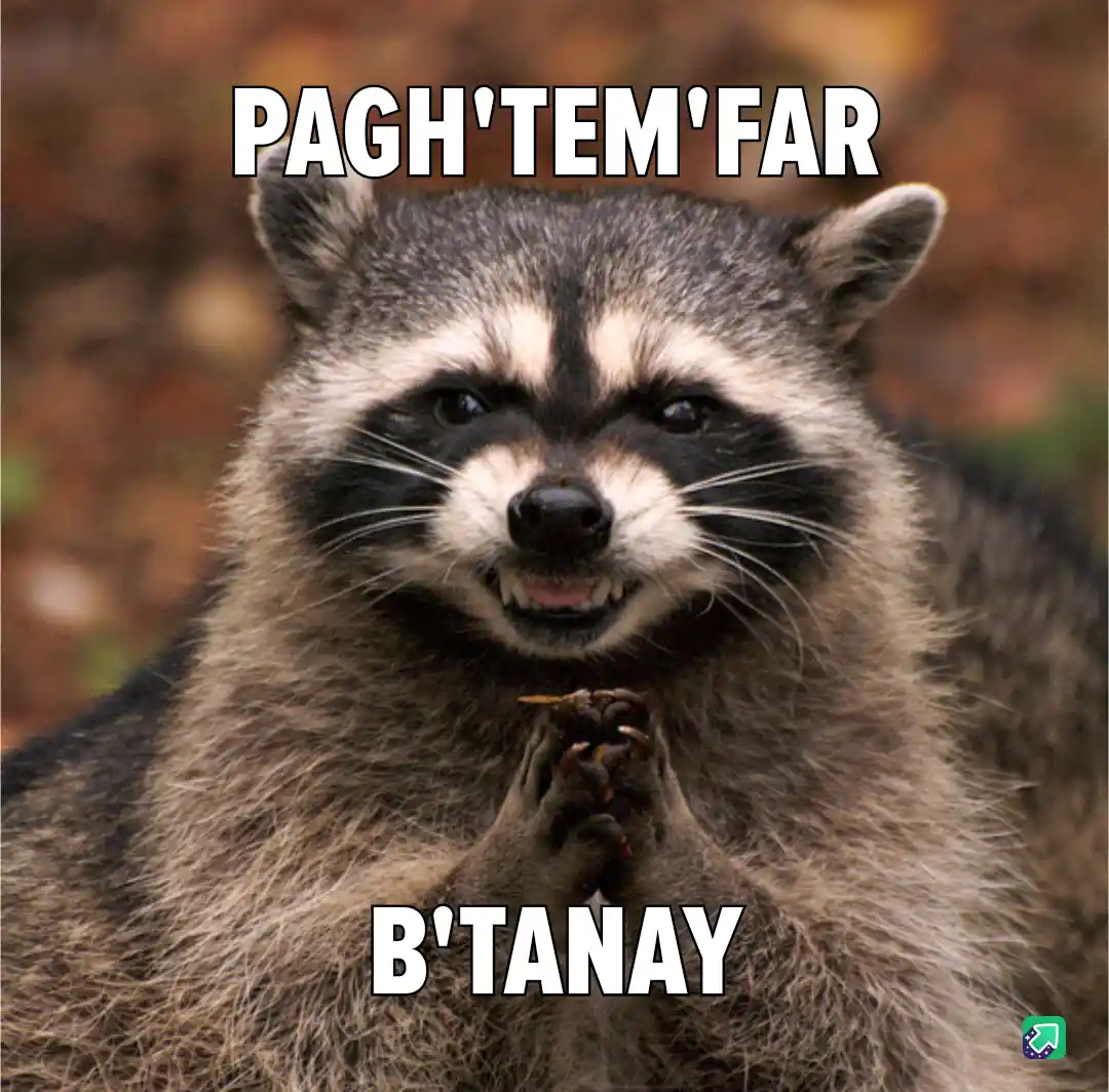 A close-up photo of a raccoon with its paws clasped together in front of its chest, looking directly at the camera with a…