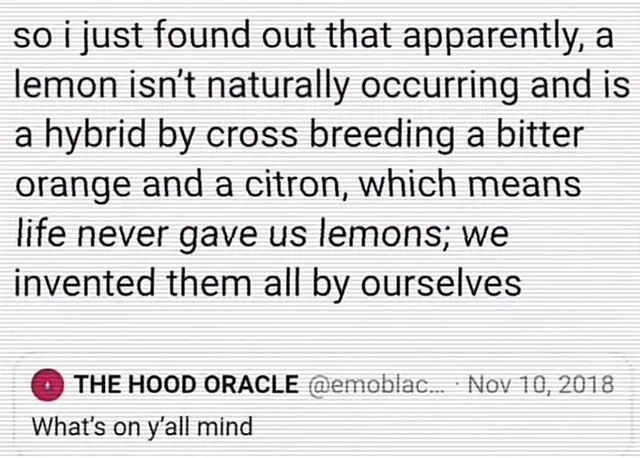 The image displays a screenshot of a tweet from 'THE HOOD ORACLE @emoblac...' dated Nov 10, 2018, with the text 'What's on…