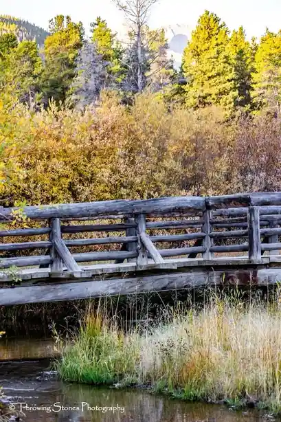 A rustic wooden bridge spans a shallow stream surrounded by autumn foliage and tall grasses, with mountains visible in the…