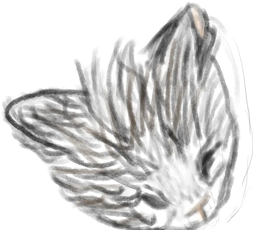A rough, sketchy charcoal drawing of a cat's face, viewed from the side with its head tilted slightly upward, showing one…