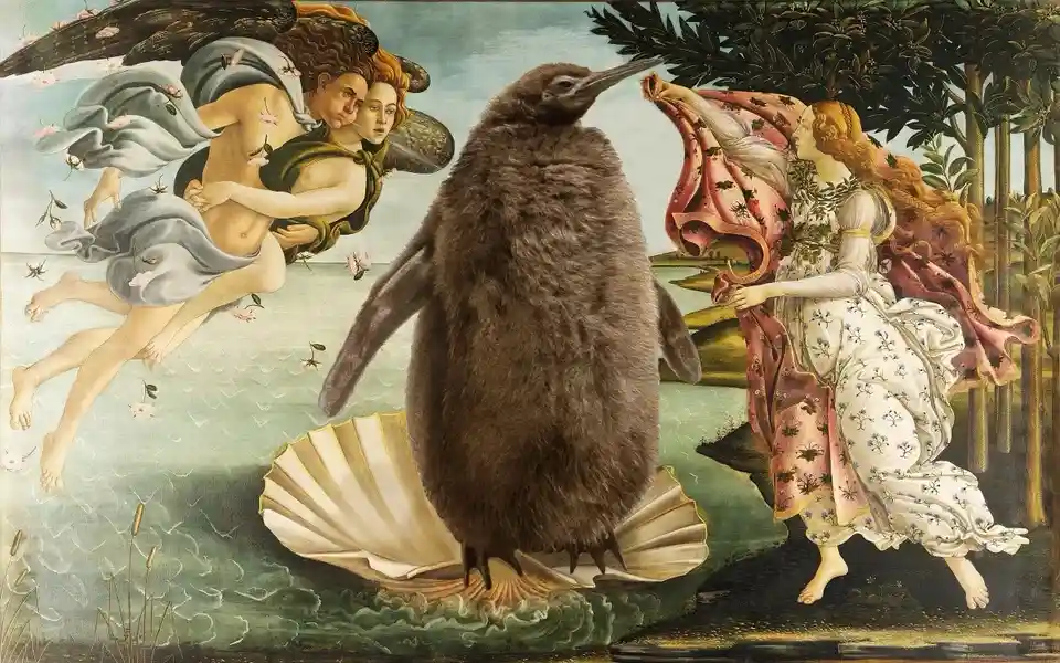 a penguin stands on a seashell in the center of a classical painting, replacing the goddess venus. Two winged figures float…