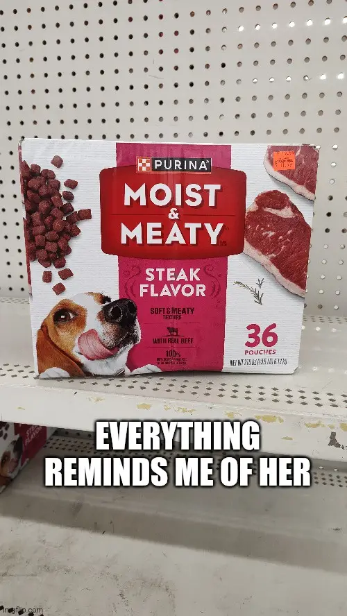 A box of Purina Moist & Meaty dog food, steak flavor, sits on a store shelf. The packaging features a beagle licking its…