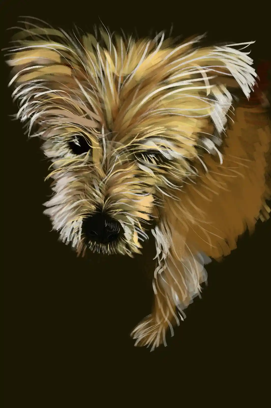 A digital painting of a scruffy, shaggy dog with golden-brown and white fur, looking directly at the viewer against a dark…