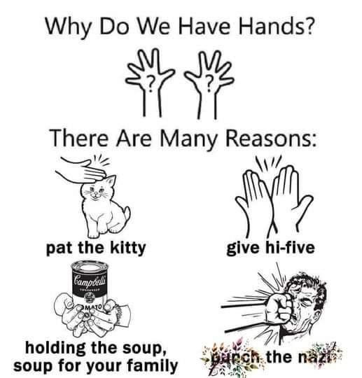 A black-and-white meme with the title 'Why Do We Have Hands?' followed by 'There Are Many Reasons:' and four illustrated…