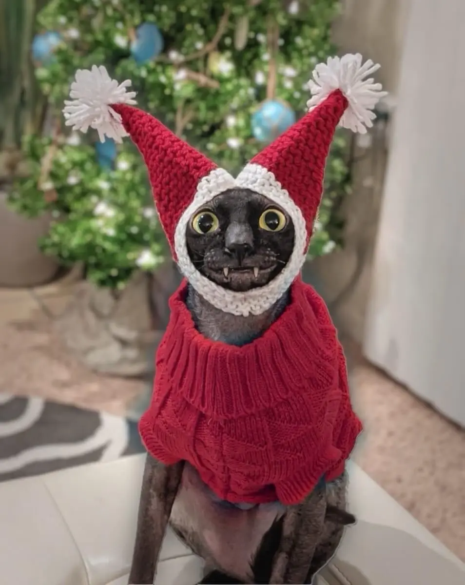 Wishing You a Merry Christmas Celebration!
