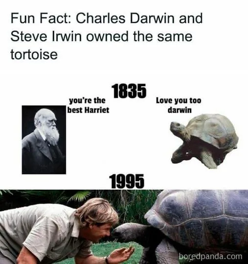 The image shows two photos of a tortoise with text overlays. The top photo from 1835 shows Charles Darwin and a tortoise…
