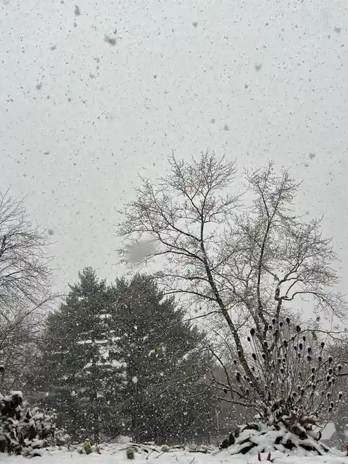 The magical first snowfall of the year has arrived!