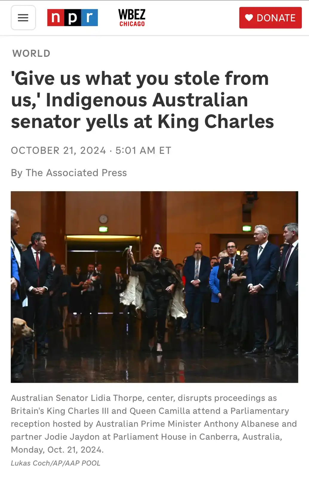 A news article screenshot shows a woman in a dark outfit and fur-trimmed cloak shouting while holding up a leafy branch…