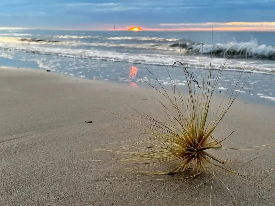 A Day at the Beach: Pure Bliss