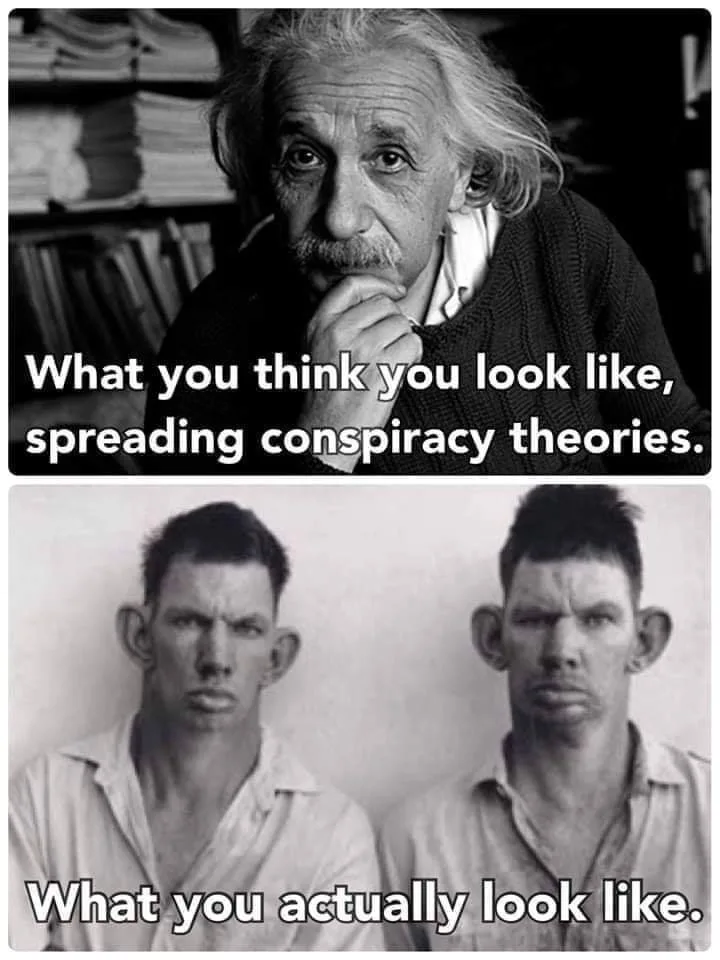 The top panel shows a black-and-white photo of Albert Einstein with text saying 'What you think you look like, spreading…