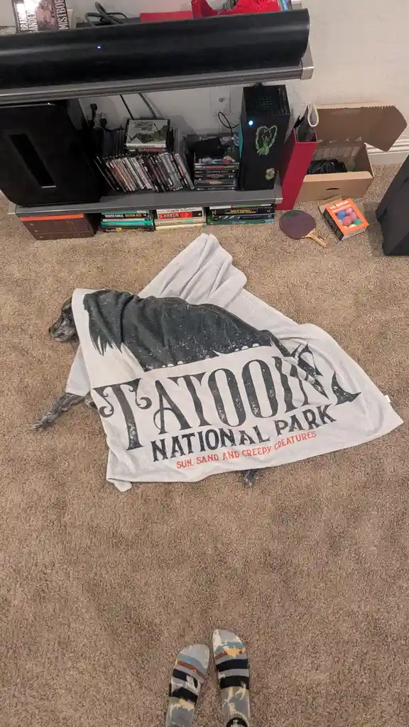 A dog is lying on a carpeted floor, mostly covered by a large white t-shirt that reads 'TATOOINE NATIONAL PARK SUN, SAND AND…