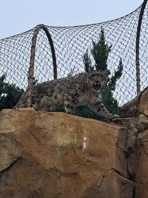 I can't help but adore the zoo!