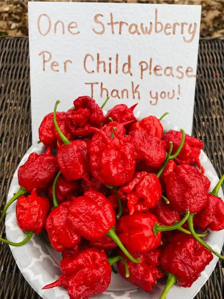 A white paper sign with handwritten text reading 'One Strawberry Per Child please. Thank you!' is positioned behind a white…