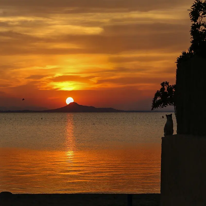 A serene sunset over water with a mountain silhouette, where a cat sits on a stone ledge in silhouette, looking out at the…