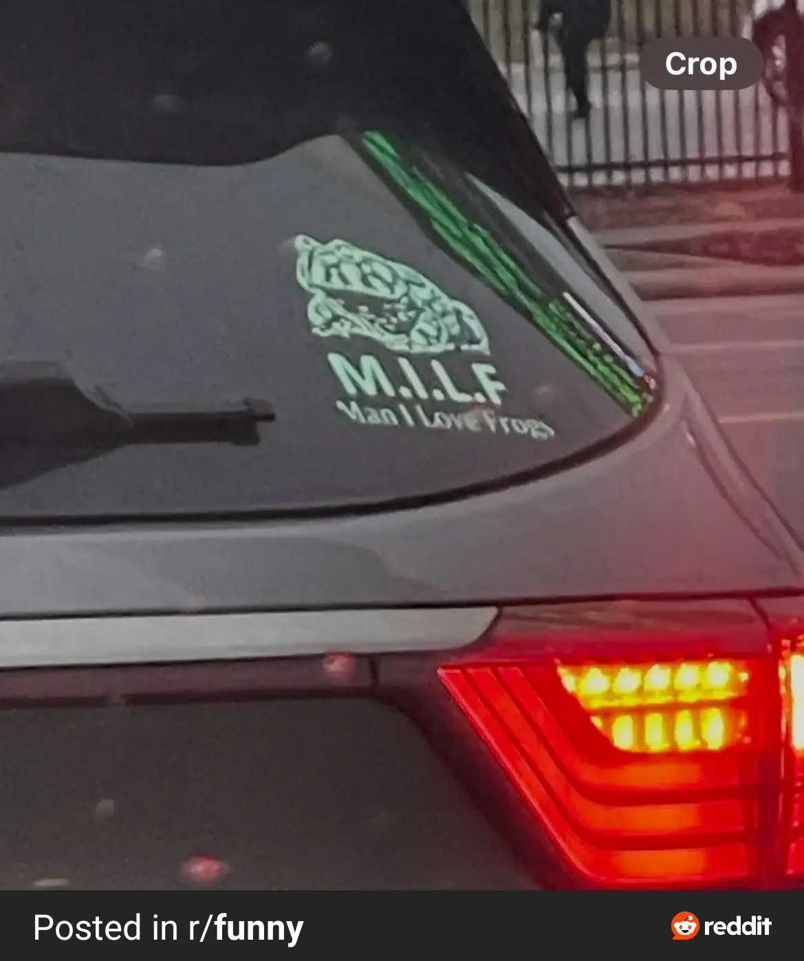 A close-up of a dark car's rear window shows a green frog decal with the text 'M.I.L.F.' and 'Man I Love Frogs' below it…