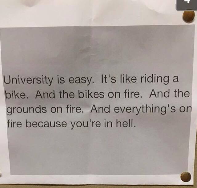 A printed sign pinned to a wall with two brass brads, displaying text that sarcastically compares university to riding a…