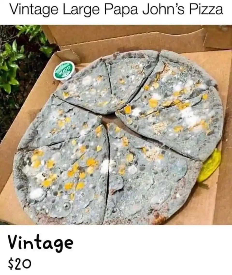 A pizza in a cardboard box is covered in gray, white, and yellow mold, with a small garlic sauce container and a pickle…