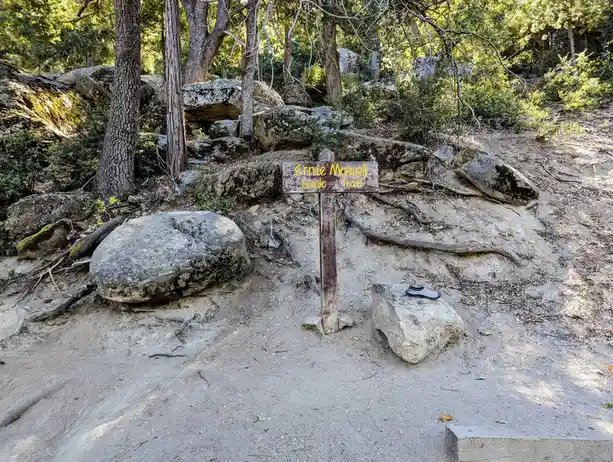 Exploring the Stunning Ernie Maxwell Scenic Trail in Idyllwild, CA - October 2024