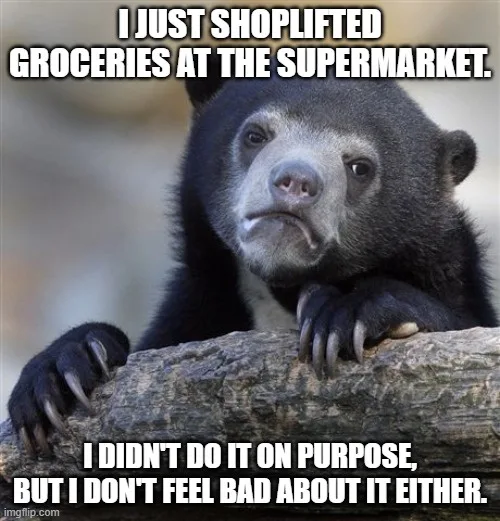 A black bear with a smug, self-satisfied expression rests its paws on a log. The overlaid text reads: 'I JUST SHOPLIFTED…