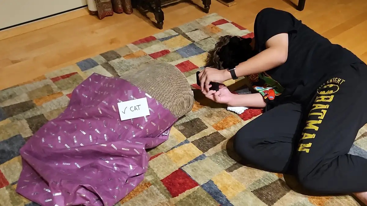 A person in black Batman-themed pajamas is kneeling on a colorful rug, looking at their phone, while a cat scratcher wrapped…