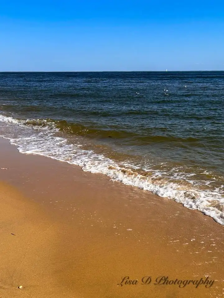 A serene beach scene with gentle waves rolling onto golden sand under a clear blue sky, with a watermark reading 'Lisa D…