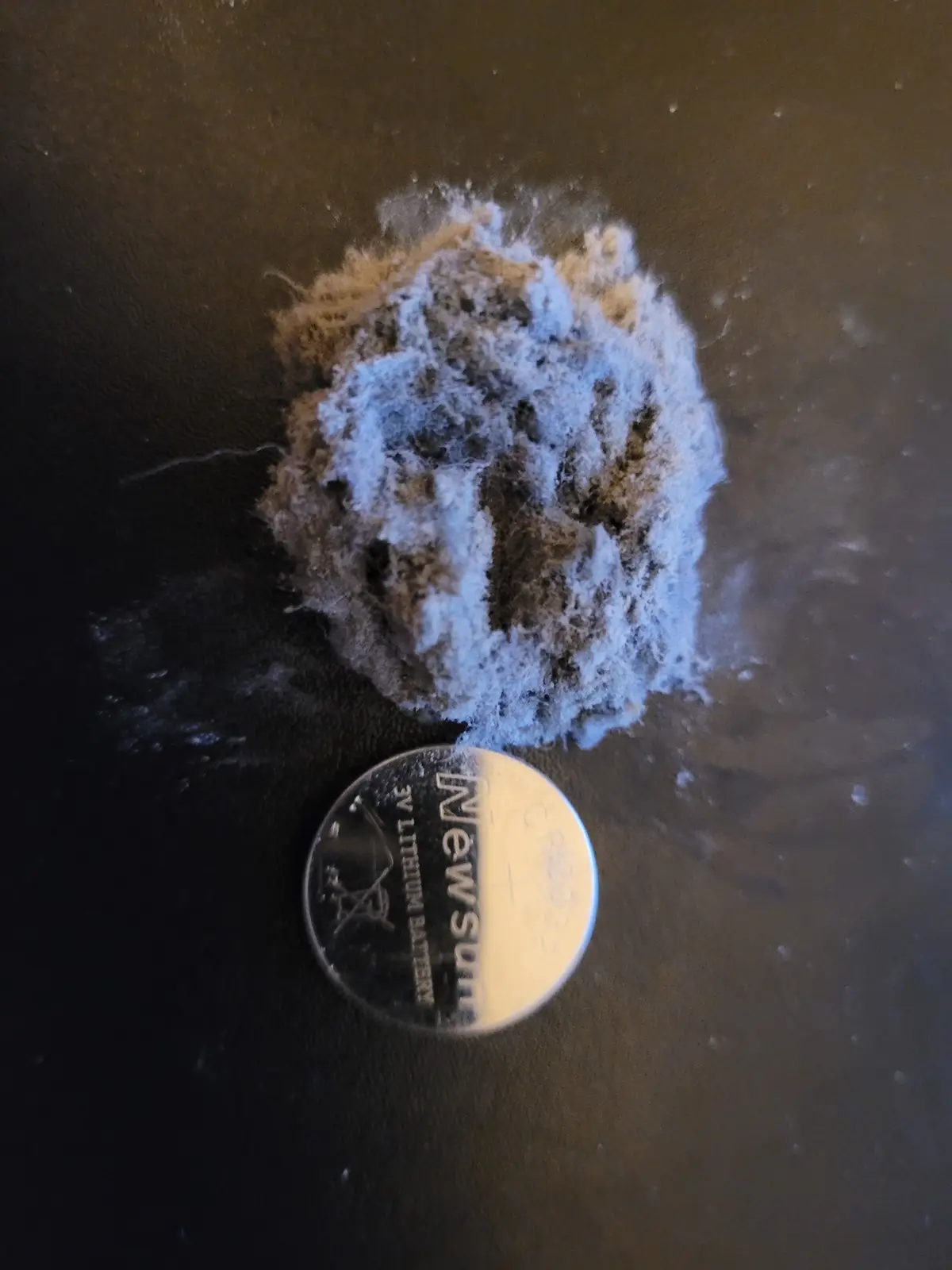 A close-up photo shows a small, fluffy, white and brownish clump of debris or lint next to a circular Newsun 3V lithium…