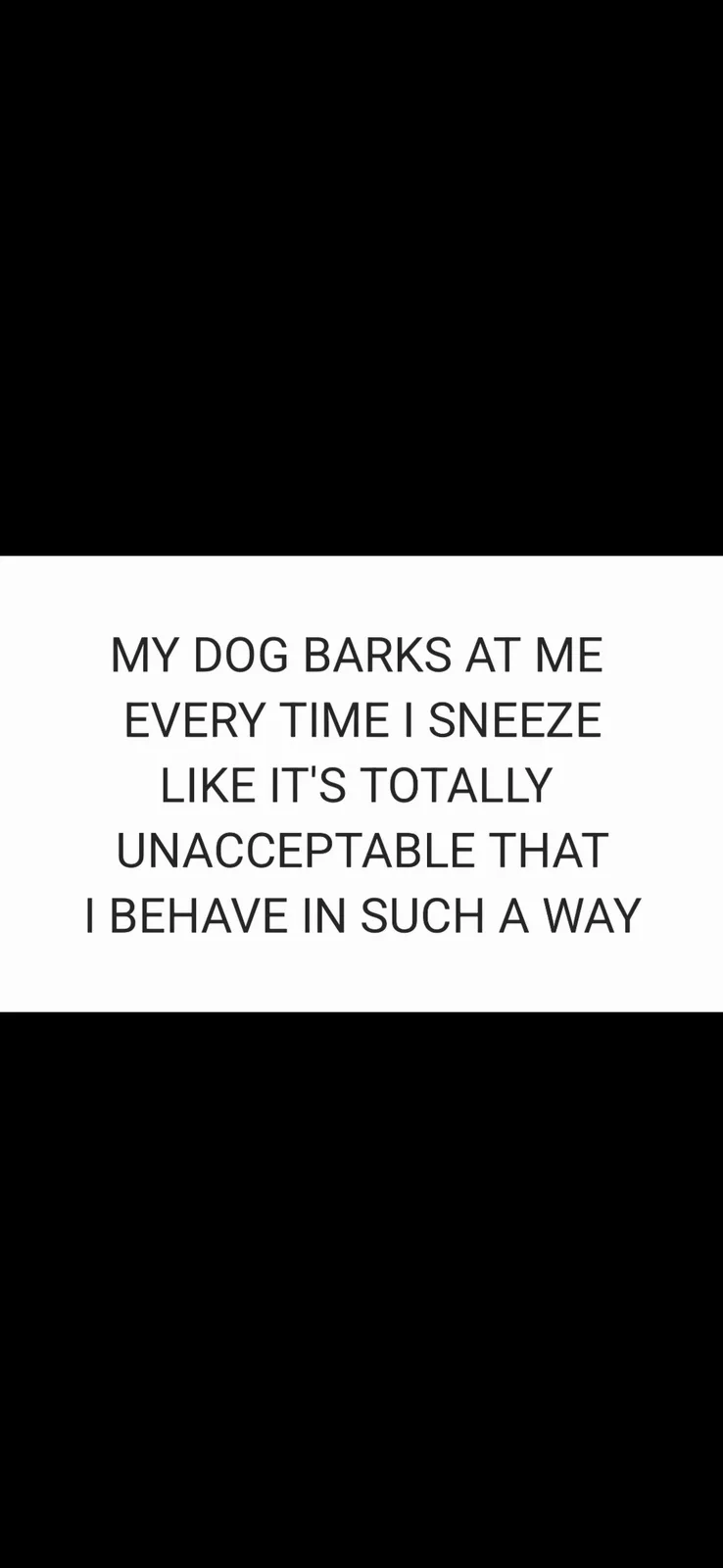 The image is a minimalist black-and-white graphic with centered text on a white background. The text reads: 'MY DOG BARKS AT…