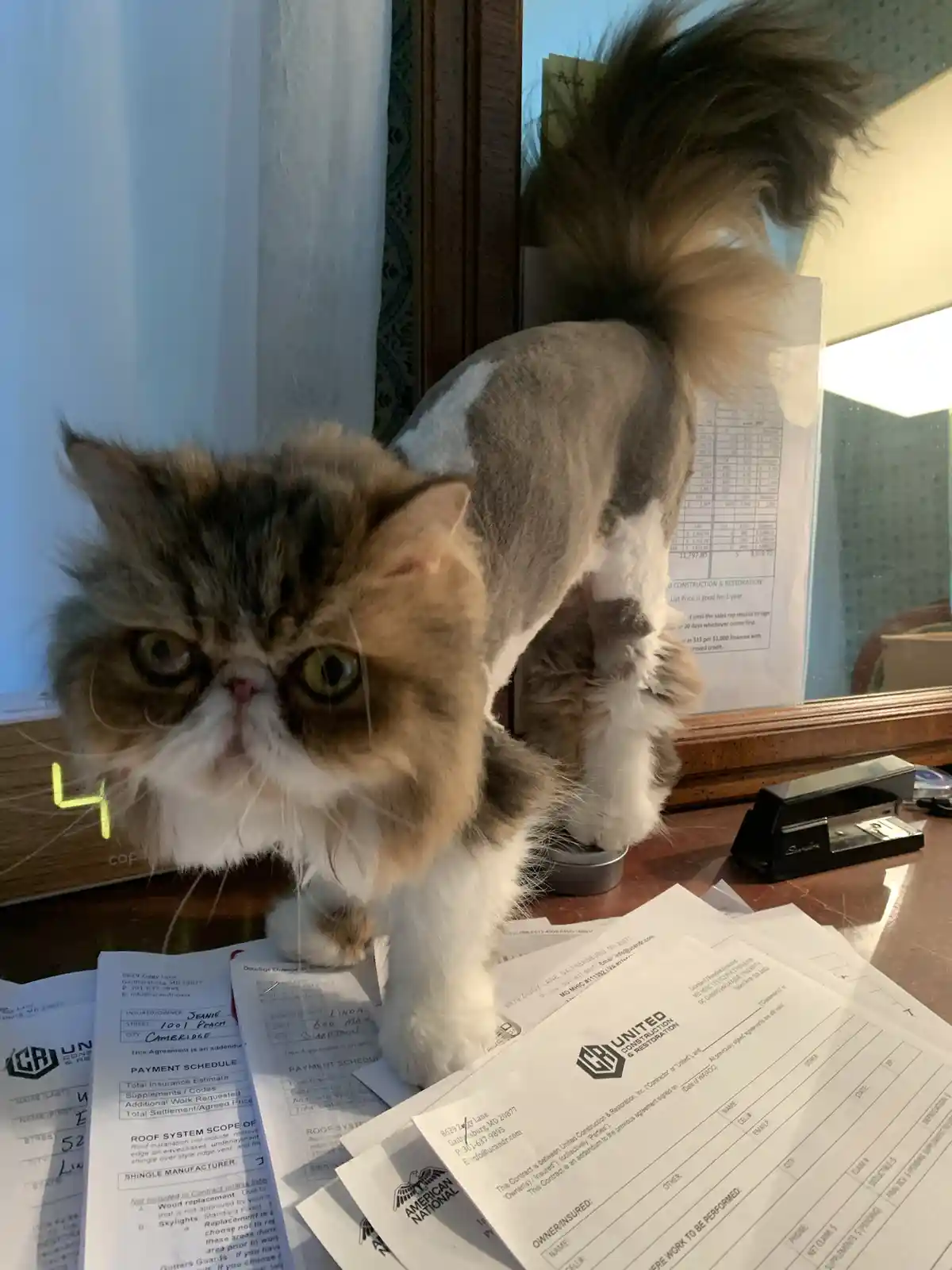 My Adorable Sweetheart: A Heartwarming Tribute