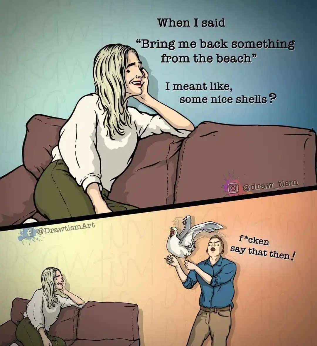 A two-panel comic shows a woman on a couch asking for 'nice shells' from the beach, then a man holding a live seagull…