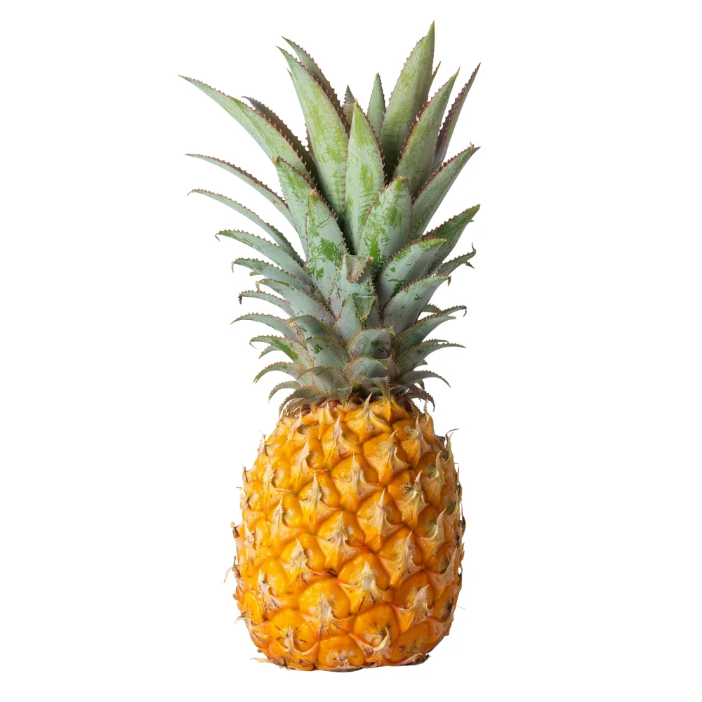A whole, ripe pineapple with a vibrant yellow-orange rind and green spiky crown is centered against a plain black…