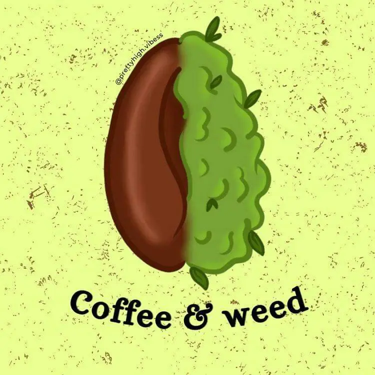 A cartoon coffee bean is split down the middle, with the left half brown and the right half green with leafy texture, set…