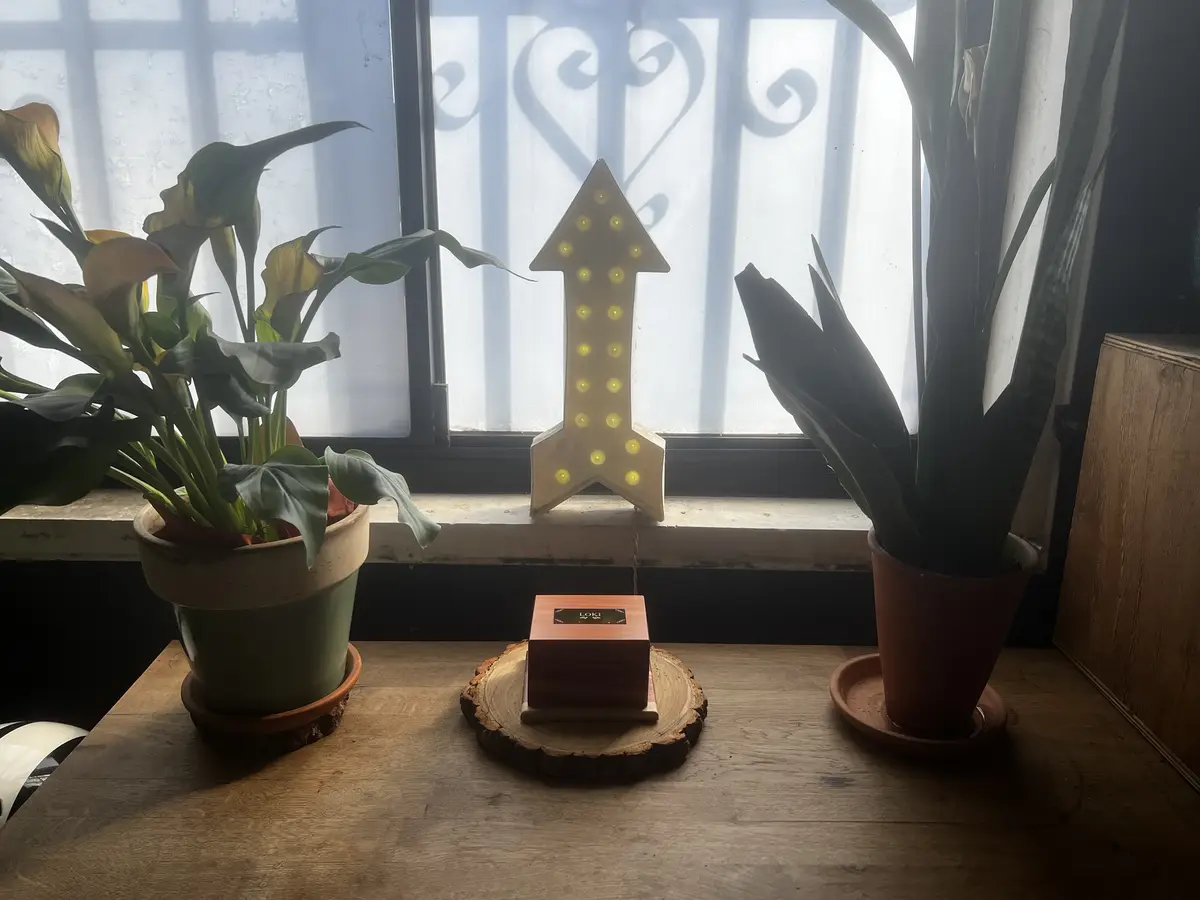 A wooden box labeled 'LOKI' sits on a tree-slice coaster on a wooden table, flanked by two potted plants, with a lit…