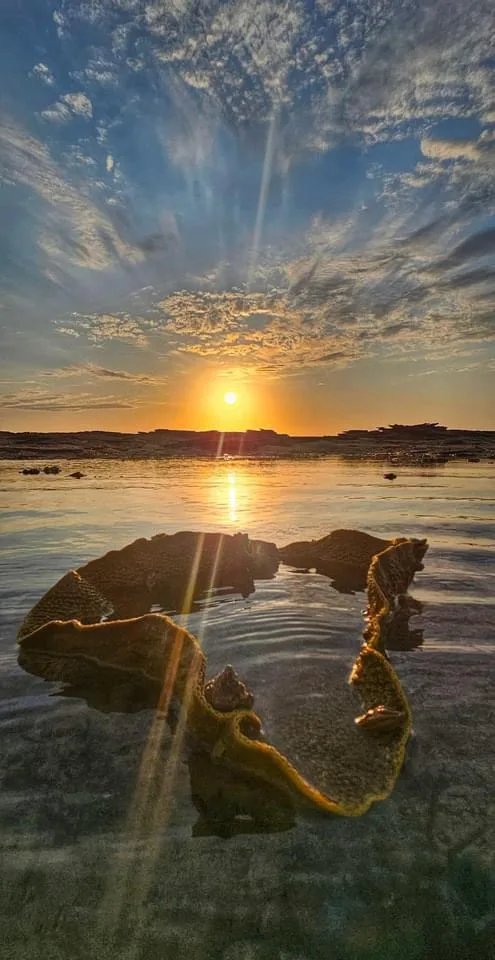A serene sunset over calm water with a bright sun casting rays through wispy clouds, and large, textured, yellowish-brown…