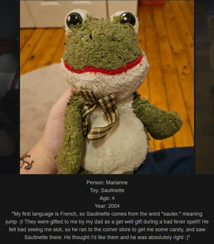 A close-up photo shows a person's hand holding a worn, green and white plush frog toy with large black eyes and a plaid…