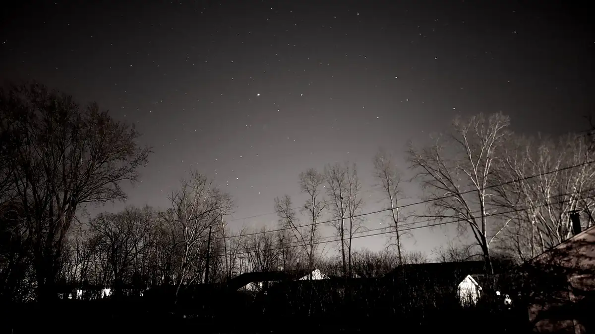 Exploring the Wonders of Canis Major