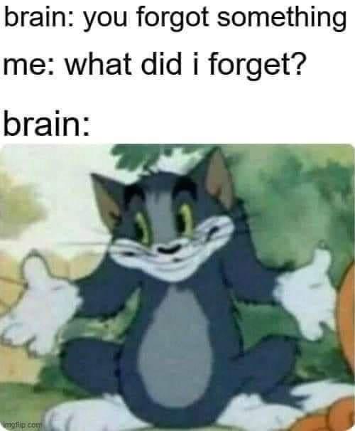 The image shows Tom from Tom and Jerry sitting cross-legged outdoors with a smug, knowing expression, shrugging with both…