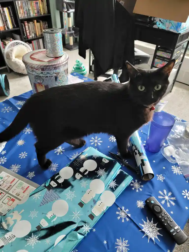 A black cat with green eyes stands on a blue snowflake-patterned wrapping paper surface surrounded by holiday wrapping…